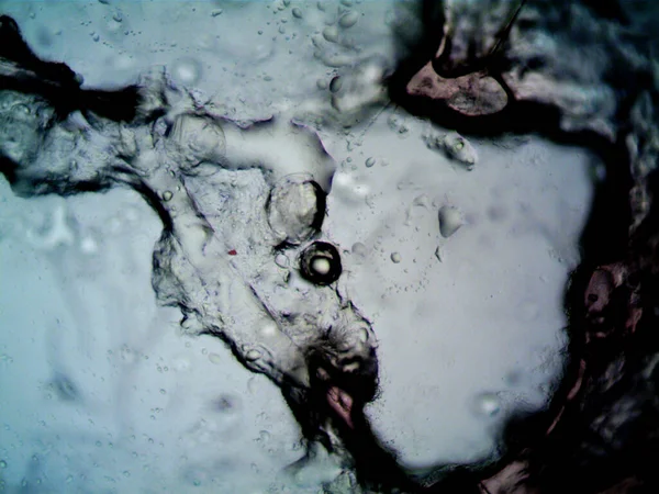 주위에 것들의 현미경 — 스톡 사진