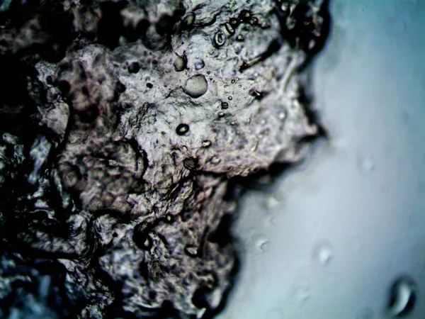 ภาพถ ายกล องจ ลทรรศน ของส ของแมนดอนรอบ — ภาพถ่ายสต็อก