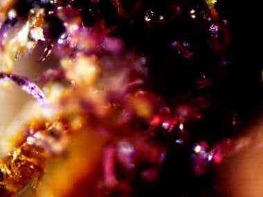 Kenevirin mikroskobik fotoğrafı. Limon Suyu ve Mor Limon İndirme