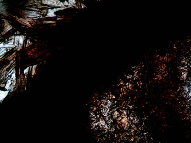 Çevrede bulunan pek çok şeyin mikroskobik fotoğrafı