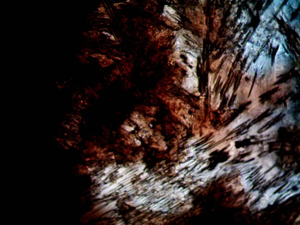 Çevrede bulunan pek çok şeyin mikroskobik fotoğrafı