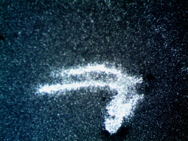 Çevrede bulunan pek çok şeyin mikroskobik fotoğrafı