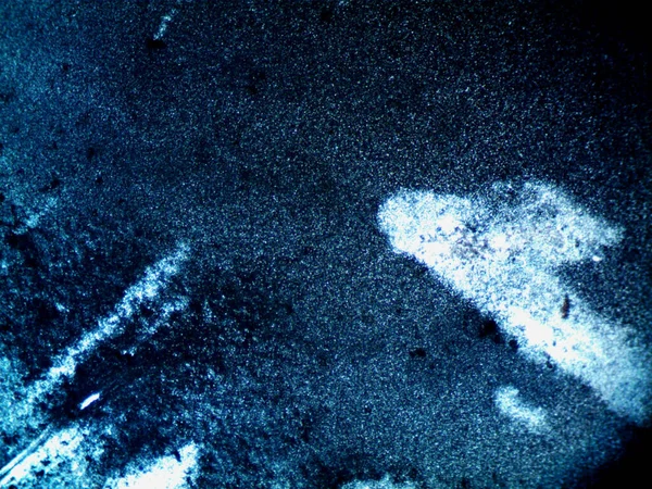 Çevrede bulunan pek çok şeyin mikroskobik fotoğrafı