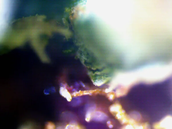 Mikroszkopikus Fotó Kannabiszról Citromköd Lila Citrom Fröccsöntése — Stock Fotó