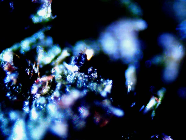 Kenevirin mikroskobik fotoğrafı. Limon Suyu ve Mor Limon İndirme