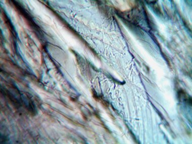 Kendi kendine yapılmış kristallerin mikroskobik fotoğrafı