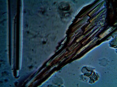 Kendi kendine yapılmış kristallerin mikroskobik fotoğrafı