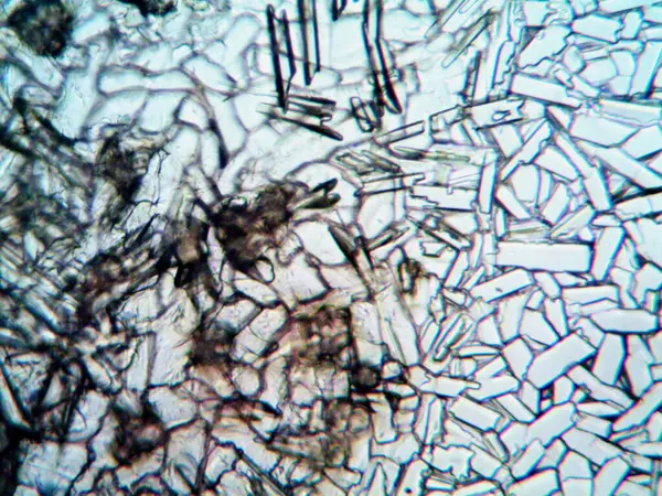 Mikroskopisk Bild Självgjorda Kristaller — Stockfoto