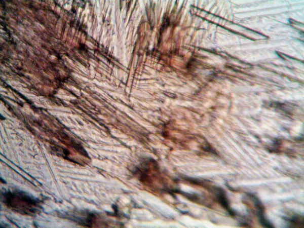 Microscopic Photo Self Made Crystals — Stock Photo, Image