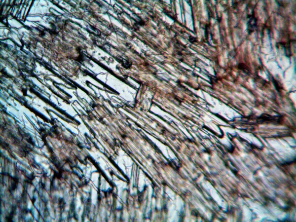 自己の顕微鏡写真が結晶を作った — ストック写真