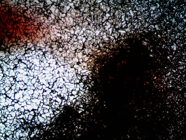 Microscopische Foto Van Mijn Wierd Chemisch Experiment — Stockfoto