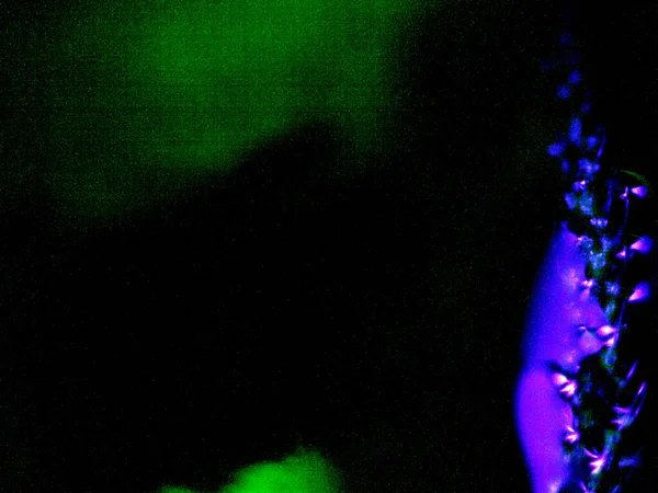 Düşük ışıklı mikroskobik fotoğraflar, çoğunlukla UV