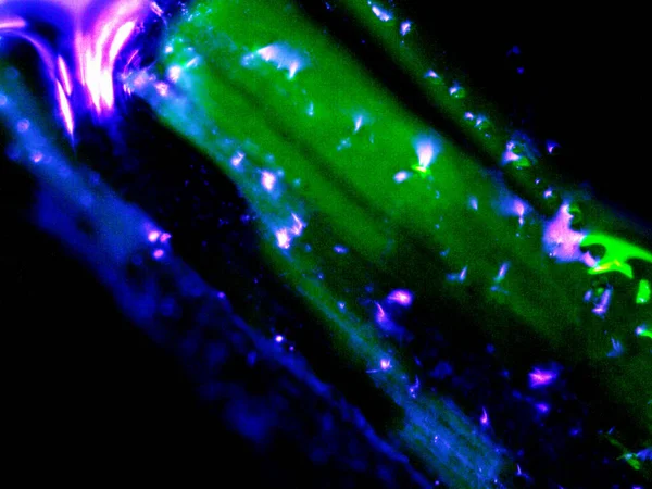 Düşük ışıklı mikroskobik fotoğraflar, çoğunlukla UV