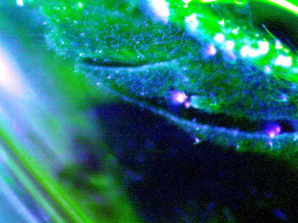 Düşük ışıklı mikroskobik fotoğraflar, çoğunlukla UV