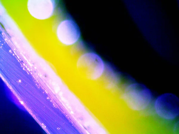 Fotos Microscópicas Con Poca Luz Mayoría Ultravioleta —  Fotos de Stock