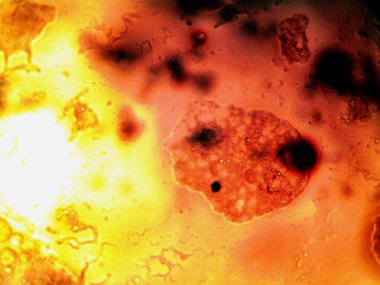 Etkili, renkli iyot ve metanol fotoğrafları.