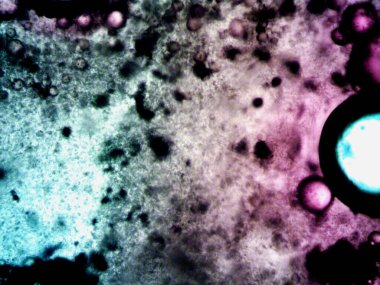 Etkili, renkli iyot ve metanol fotoğrafları.