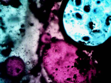 Etkili, renkli iyot ve metanol fotoğrafları.