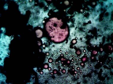 Etkili, renkli iyot ve metanol fotoğrafları.