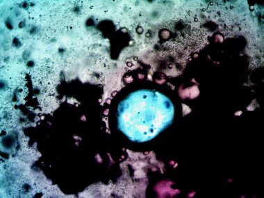 Etkili, renkli iyot ve metanol fotoğrafları.