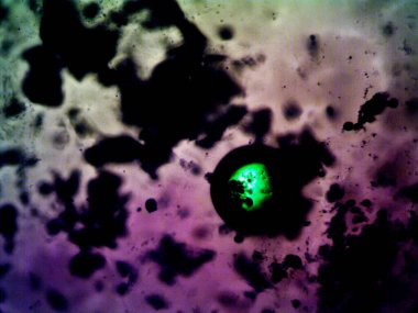 Etkili, renkli iyot ve metanol fotoğrafları.