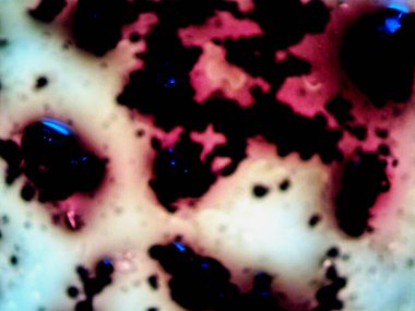 Mikroskobik fotoğraf sanatı, renkli efektler 