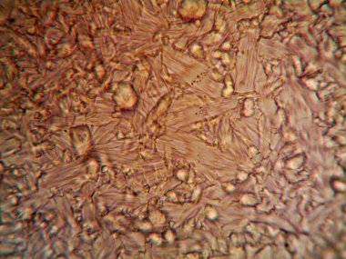 Renkli kristaller, mineraller, benim tarafımdan çıkarıldı.