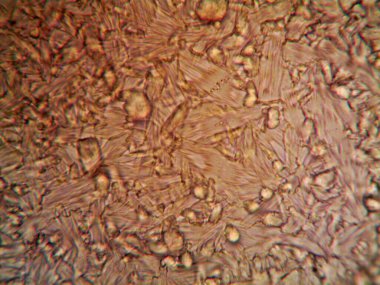 Renkli kristaller, mineraller, benim tarafımdan çıkarıldı.