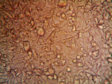 Renkli kristaller, mineraller, benim tarafımdan çıkarıldı.