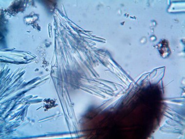 Renkli kristaller, mineraller, benim tarafımdan çıkarıldı.