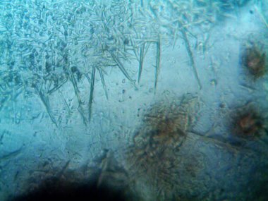 Renkli kristaller, mineraller, benim tarafımdan çıkarıldı.