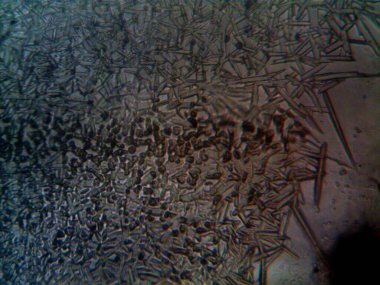 Renkli kristaller, mineraller, benim tarafımdan çıkarıldı.