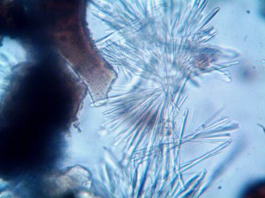 Renkli kristaller, mineraller, benim tarafımdan çıkarıldı.