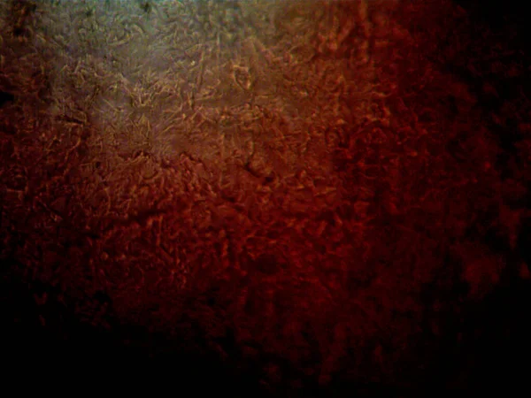 Renkli kristaller, mineraller, benim tarafımdan çıkarıldı.