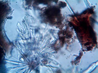 Renkli kristaller, mineraller, benim tarafımdan çıkarıldı.