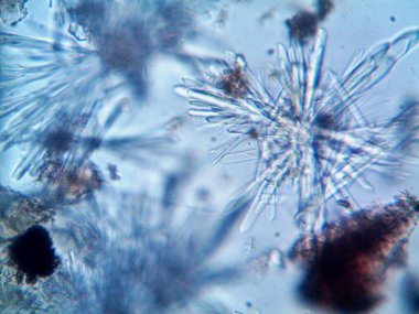 Renkli kristaller, mineraller, benim tarafımdan çıkarıldı.