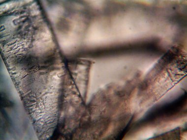 Mikroskopta görülen farklı kristalleşme aşamaları