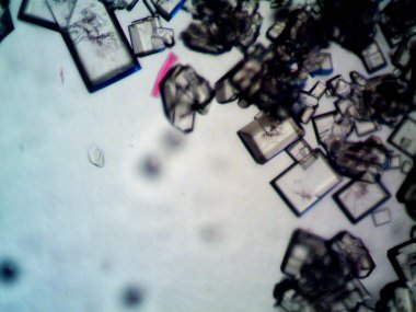 Mikroskopta görülen farklı kristalleşme aşamaları