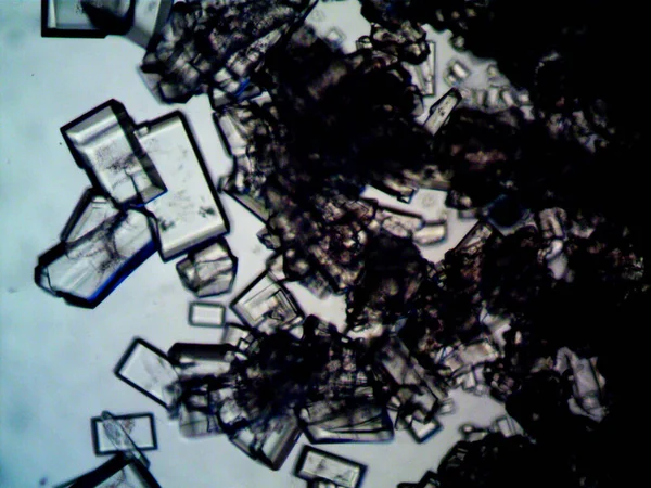 Kristályosítás Különböző Szakaszai Mikroszkóppal — Stock Fotó