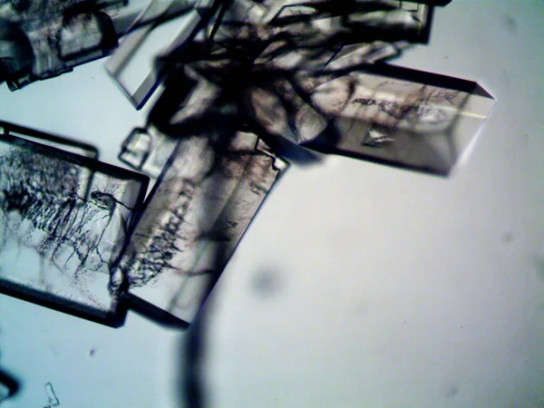 Διαφορετικά Στάδια Κρυστάλλωσης Στο Μικροσκόπιο — Φωτογραφία Αρχείου