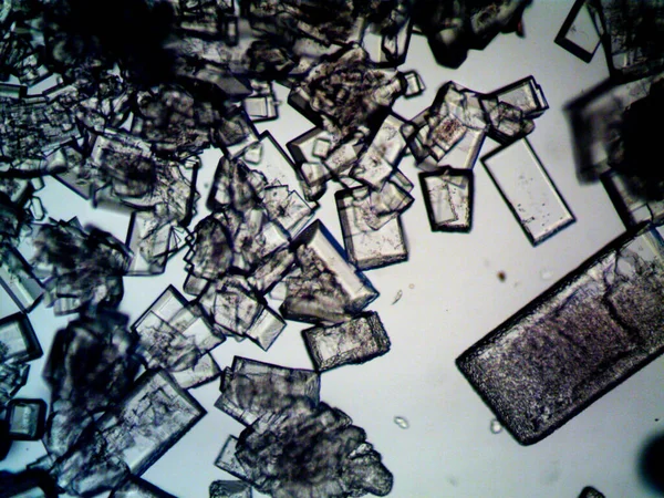 顕微鏡で見られる結晶化のさまざまな段階 — ストック写真