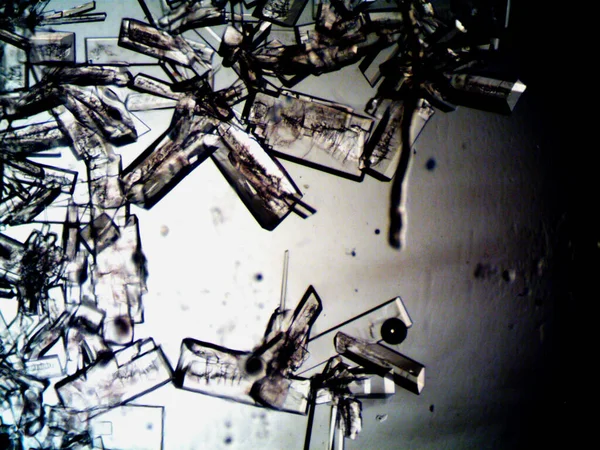 Estágios Difíceis Cristalização Vistos Microscópio — Fotografia de Stock