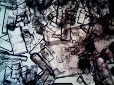 Mikroskopta görülen farklı kristalleşme aşamaları