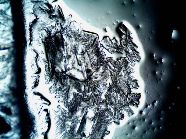 Fasi Diverse Cristallizzazione Osservate Microscopio — Foto Stock