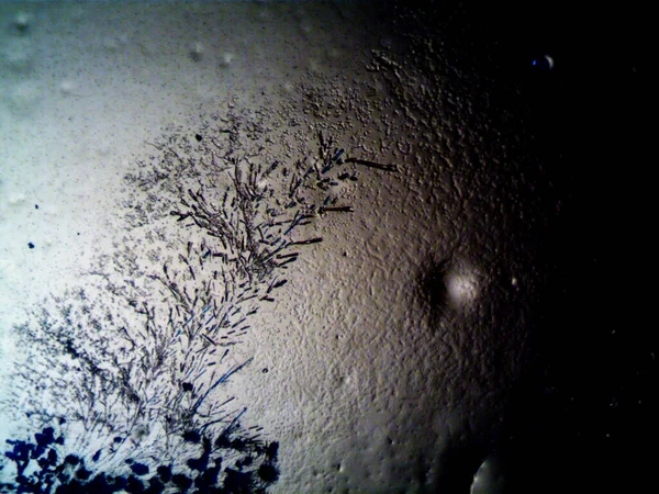 Mikroskopta Görülen Farklı Kristalleşme Aşamaları — Stok fotoğraf