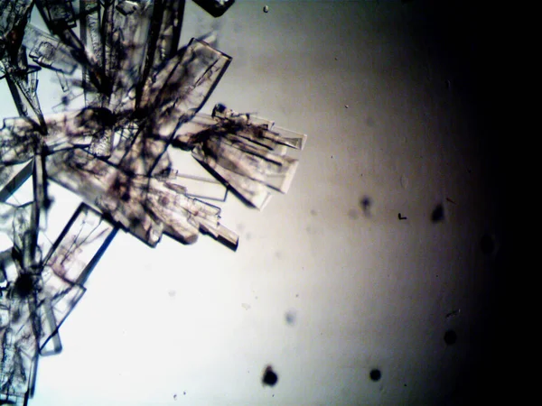 Unterschiedliche Kristallisationsstadien Unter Dem Mikroskop — Stockfoto