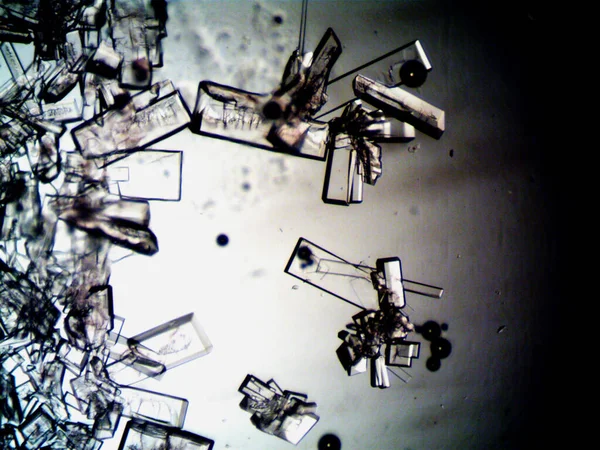Diferentes Etapas Cristalización Observadas Microscopio — Foto de Stock