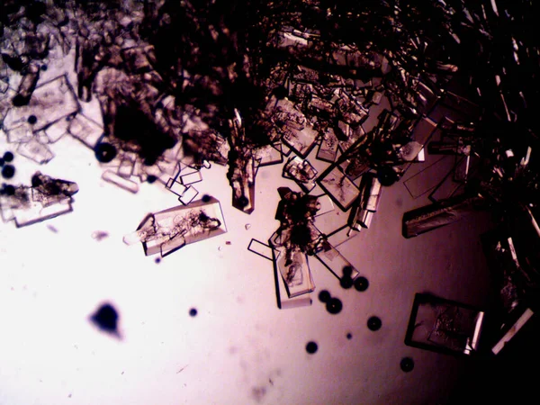 Různá Stadia Krystalizace Mikroskopu — Stock fotografie