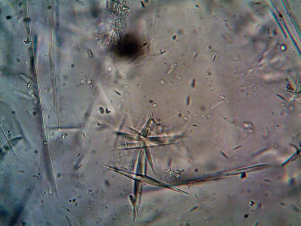 Birkaç reaksiyondan sonra kafein kristalinin fotoğrafı