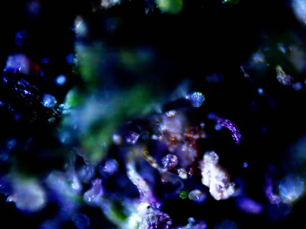 Mor limon mikroskobu x10